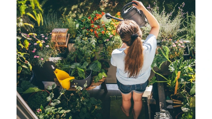 Gartenarbeit am Sonntag: Das ist erlaubt und das nicht