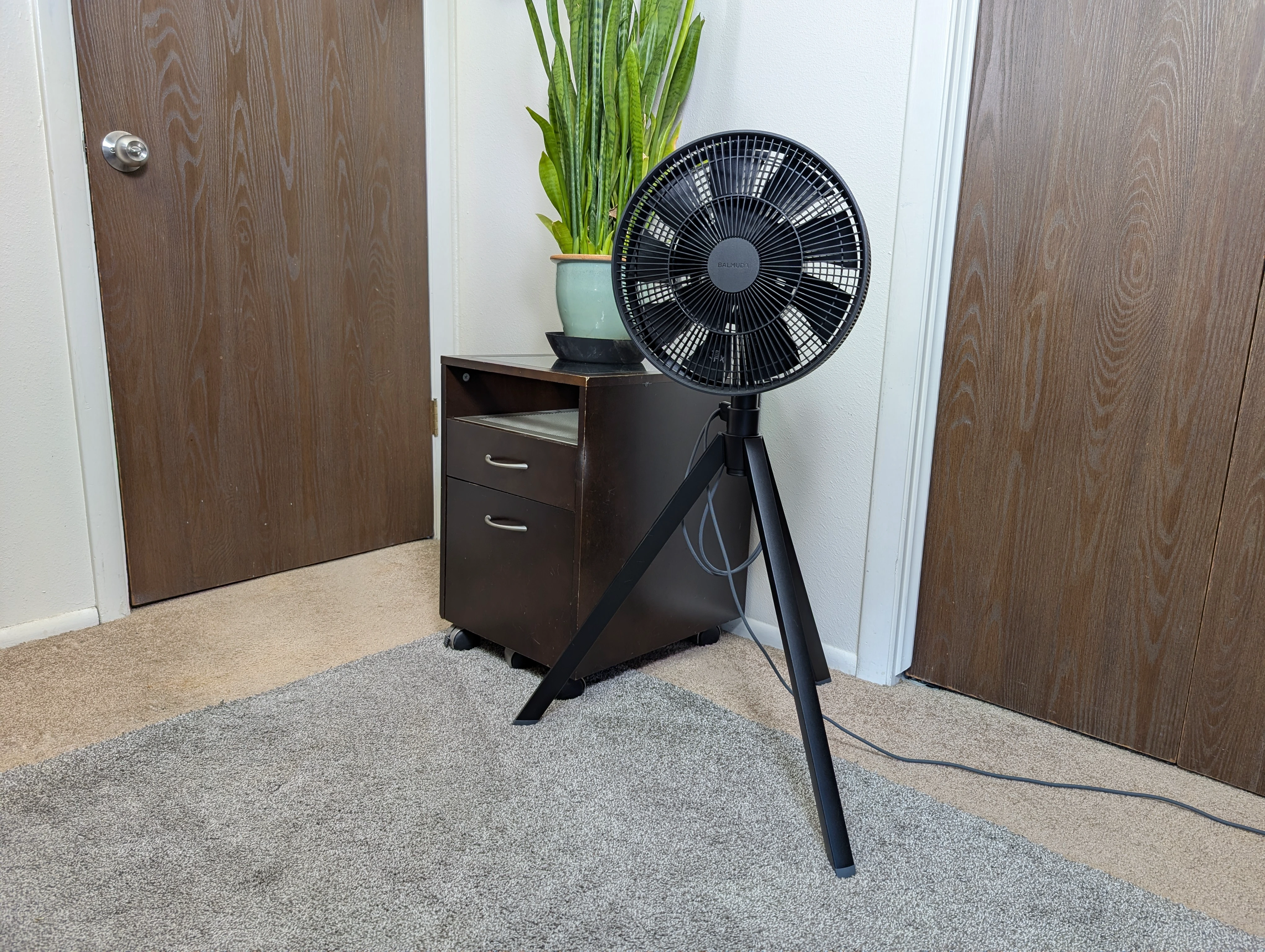 Should You Spend $429 on a Fan? Here’s My Take After Testing