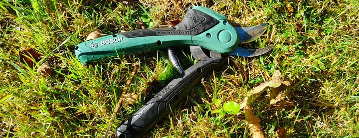 Akku-Astschere Bosch Easyprune im Test: sicher, kompakt, kraftlos